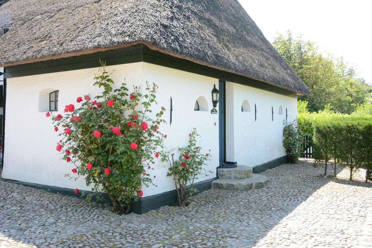 Foehrienhaus Villa Midlum  Exterior photo